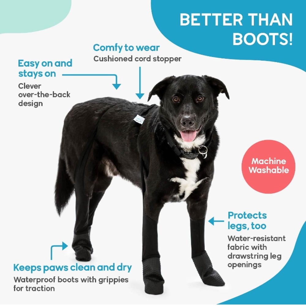 Dog Leggings - Black - Picture 4 of 15
